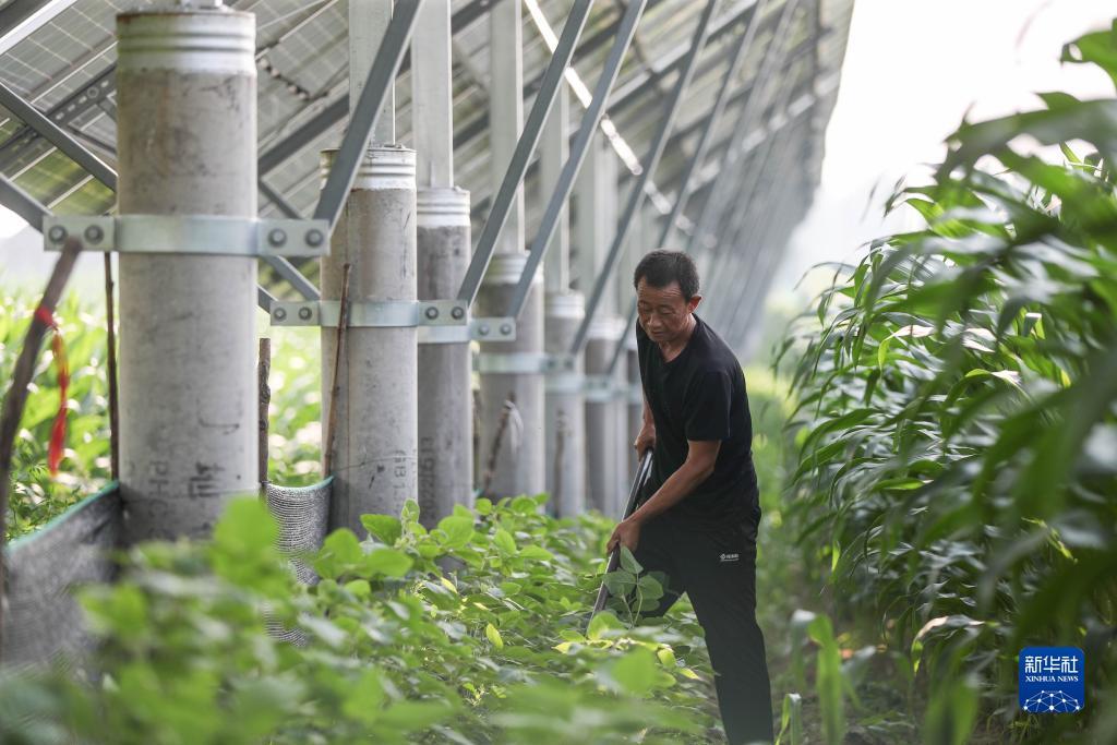 白菜信息网
